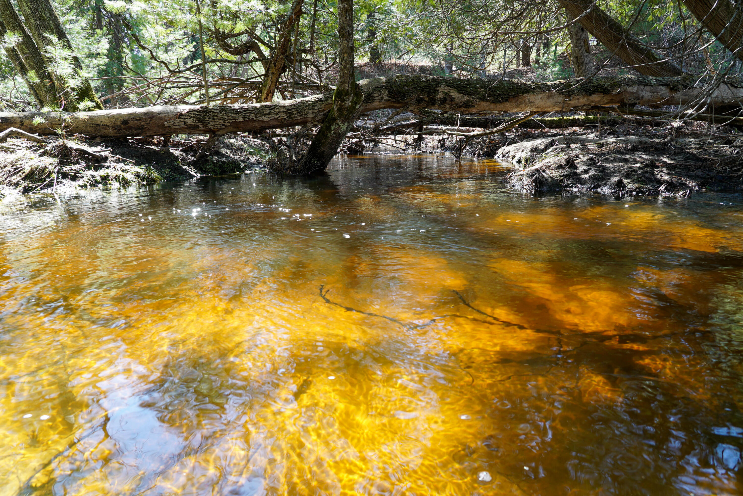 5840 Wildwood Road Alger, MI 48610 - Photo 19 of 25 4