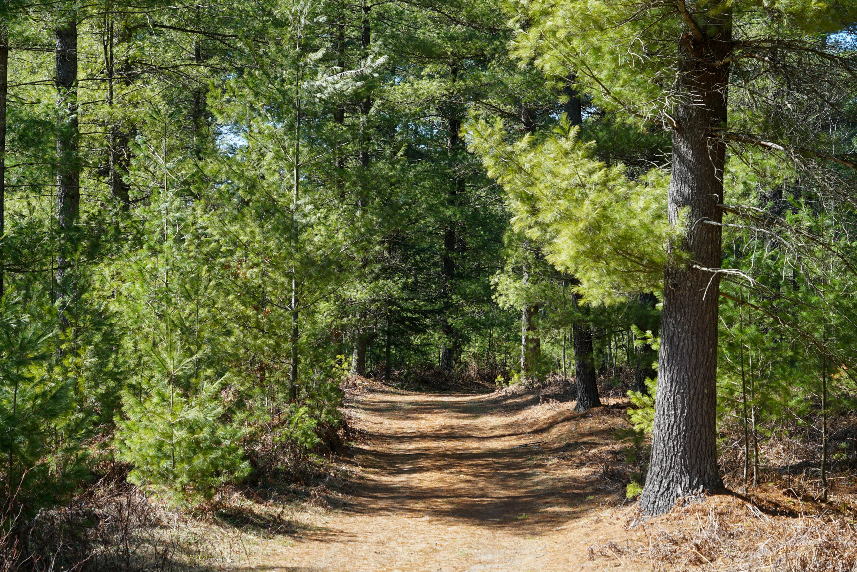 5840 Wildwood Road Alger, MI 48610 - Photo 21 of 25 7