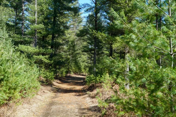 $1,400,000 | 5840 Wildwood Road, Alger, MI 48610