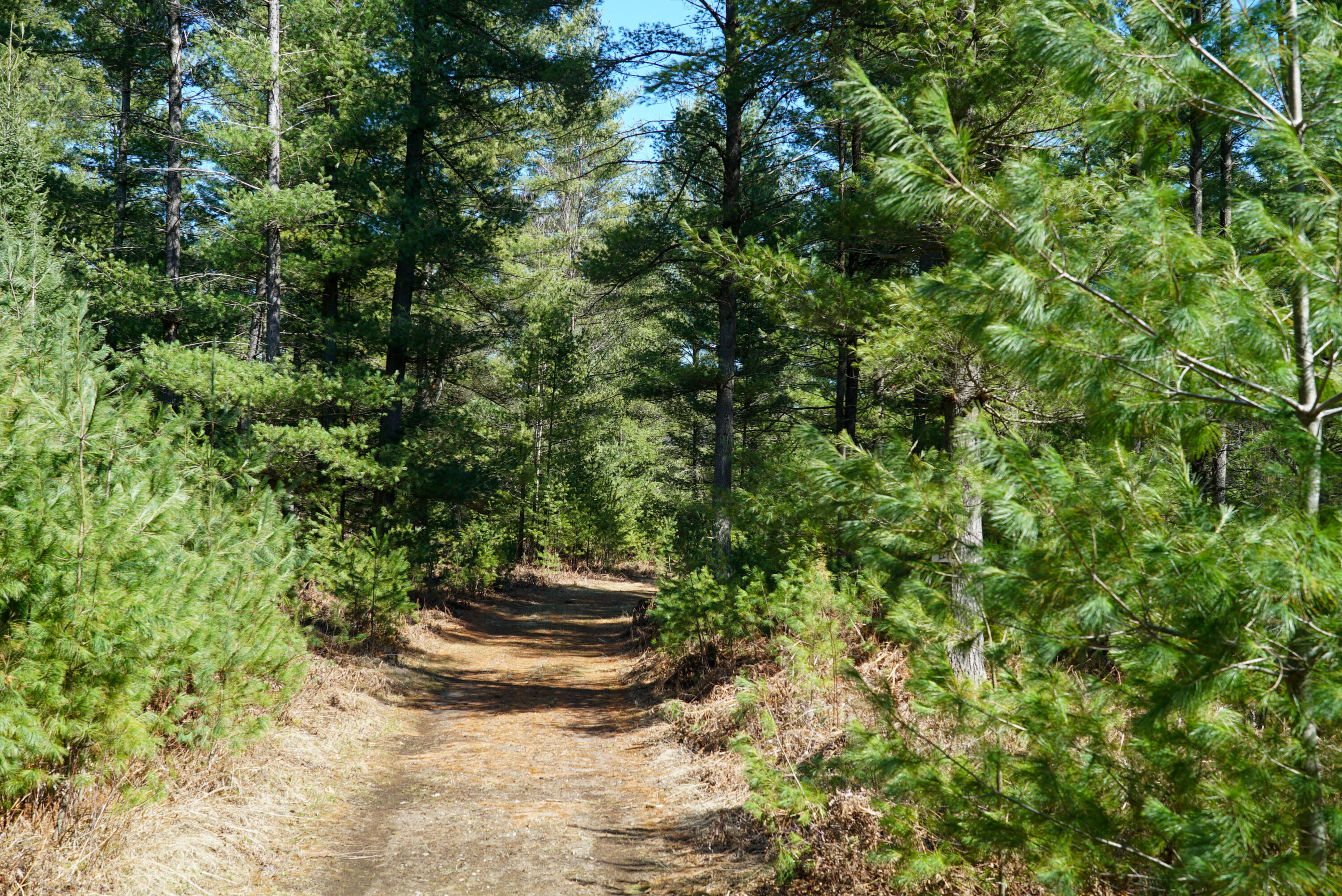 5840 Wildwood Road Alger, MI 48610 - Photo 24 of 25 3