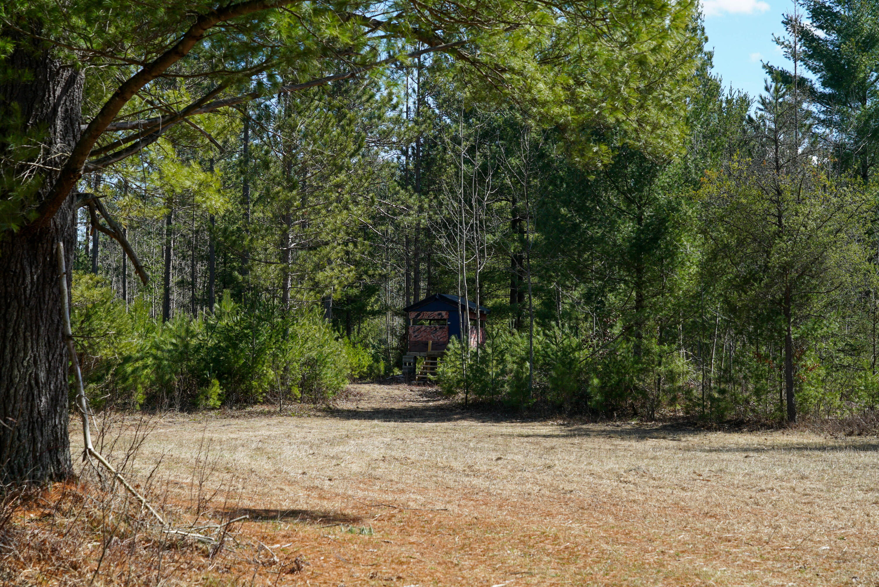 5840 Wildwood Road Alger, MI 48610 - Photo 3 of 25 9