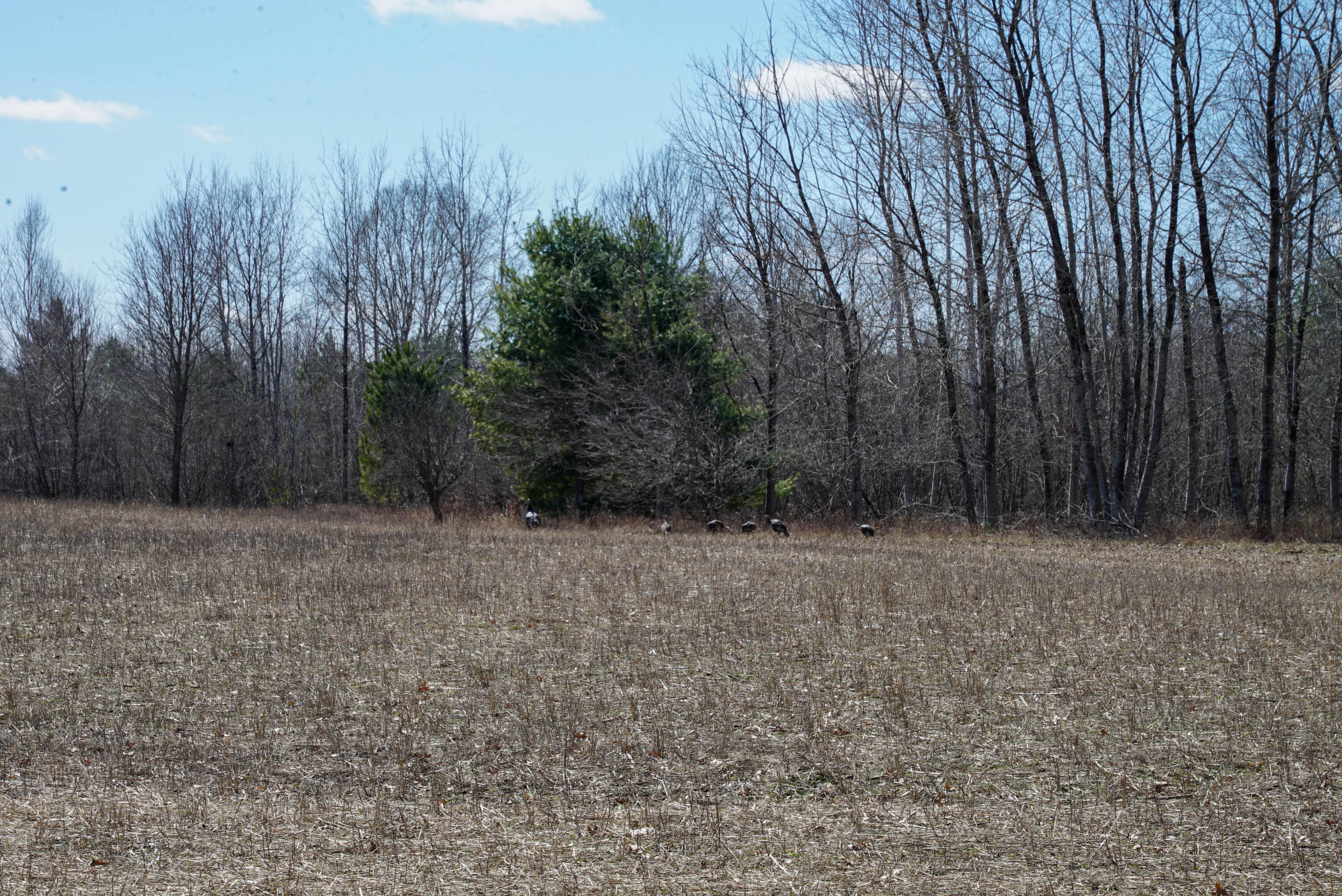 5840 Wildwood Road Alger, MI 48610 - Photo 5 of 25 15