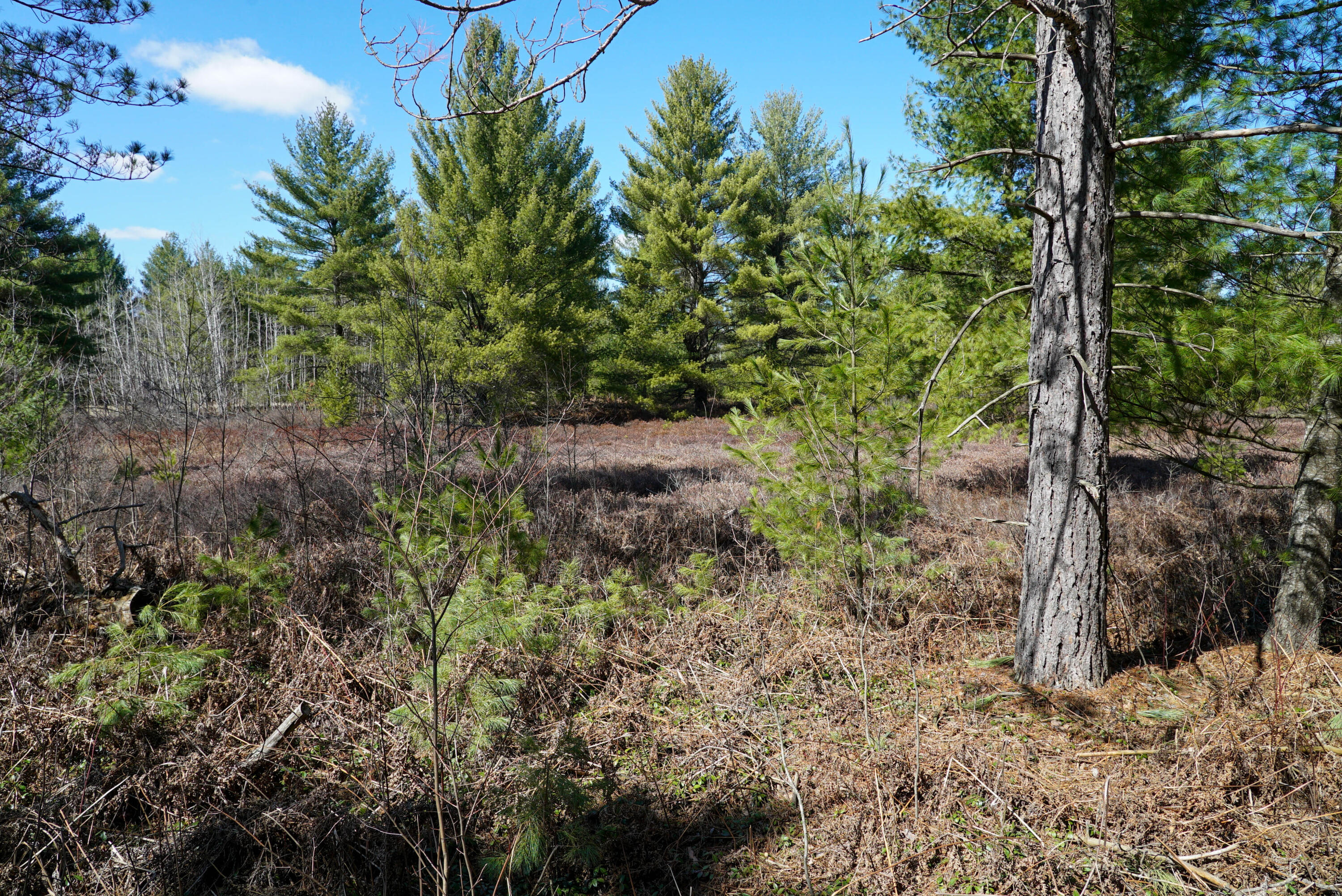 5840 Wildwood Road Alger, MI 48610 - Photo 7 of 25 16