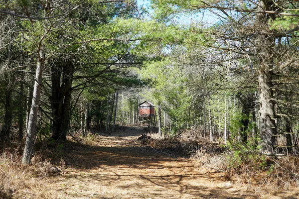 $1,400,000 | 5840 Wildwood Road, Alger, MI 48610