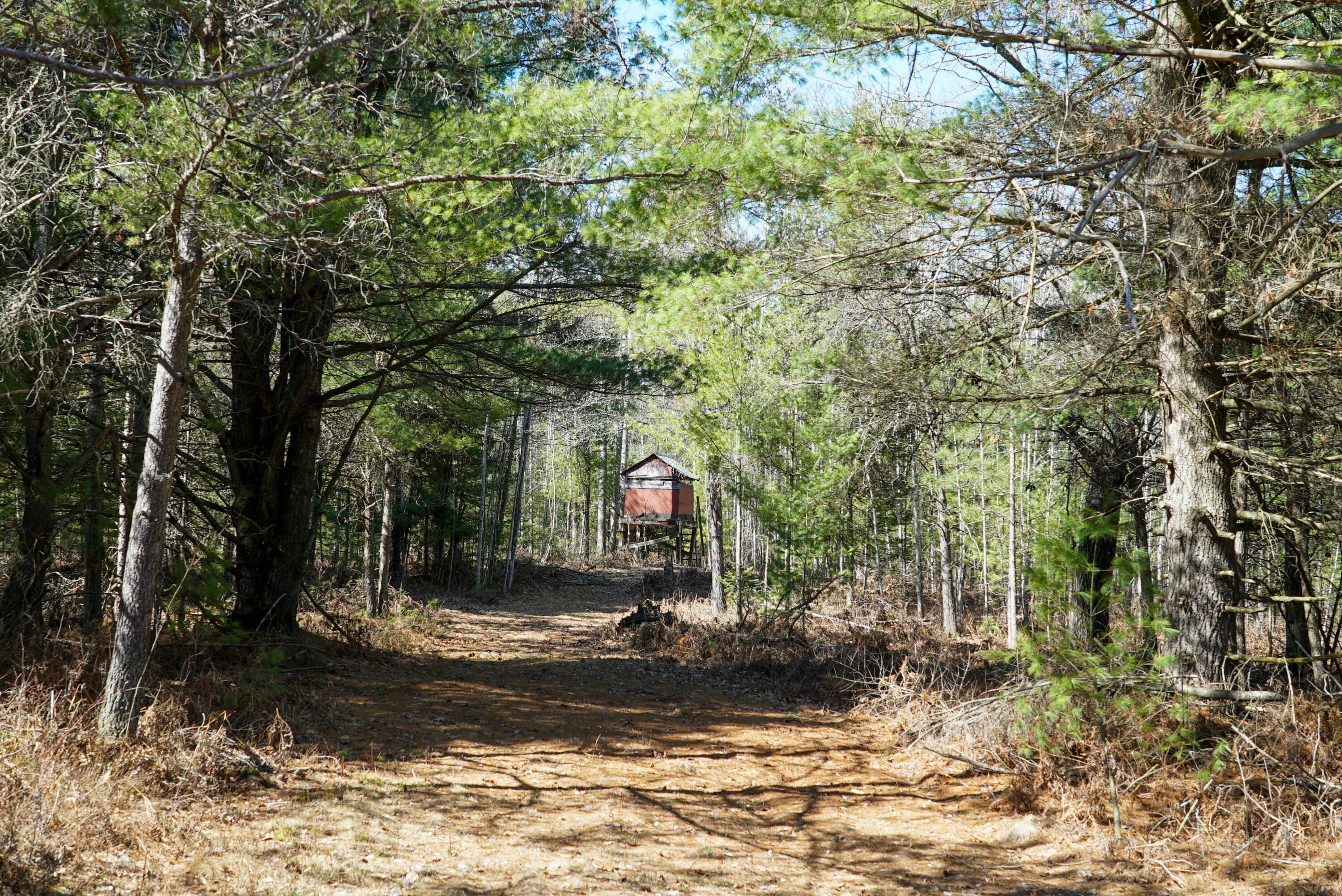 5840 Wildwood Road Alger, MI 48610 - Photo 8 of 25 12