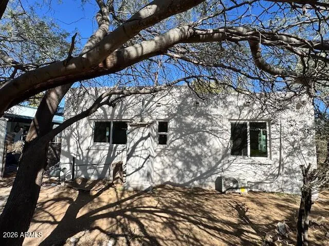 a view of a backyard with a tree