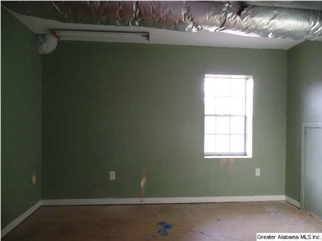 3856 Mud Creek Road Adger, AL 35006 - Photo 5 of 13