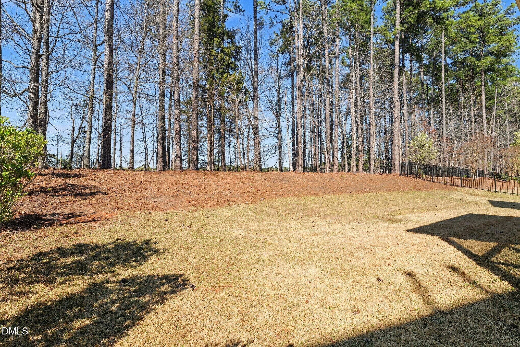 7224 Bedford Ridge Drive Apex, NC 27539 - Photo 37 of 42 Backing to trees