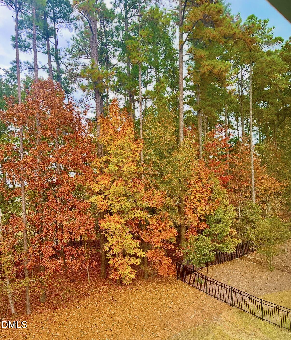 7224 Bedford Ridge Drive Apex, NC 27539 - Photo 38 of 42 fall in the backyard