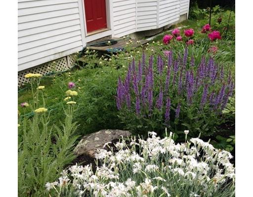 142 Barre Road Hardwick, MA 01037 - Photo 28 of 28 a view of a flower in a garden