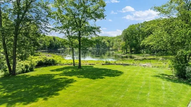 a view of a park with large trees
