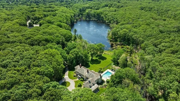 a view of a garden with lawn chairs