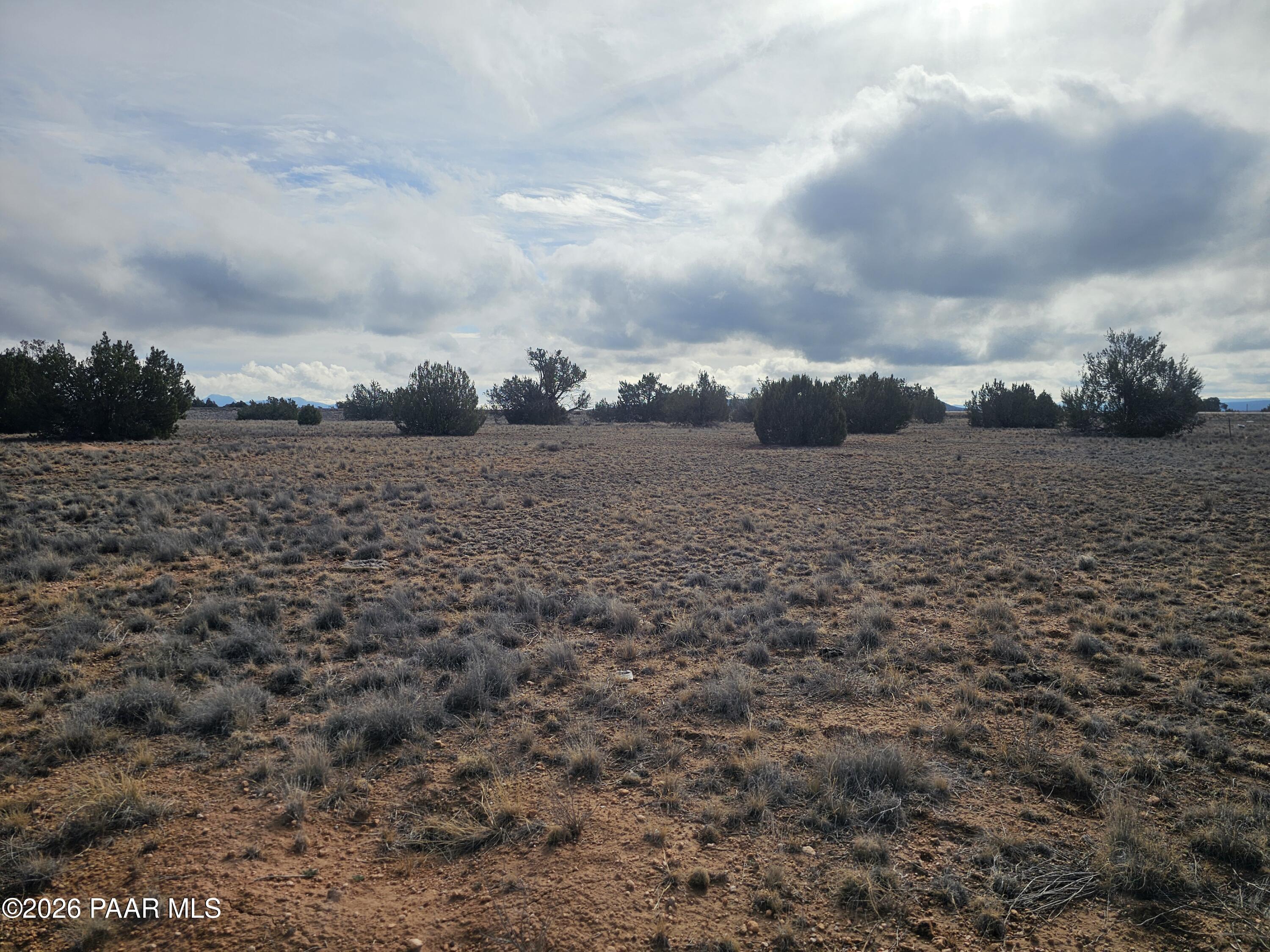 27565 Fort Rock Road Seligman, AZ 86337 - Photo 4 of 14 a view of dirt field with trees