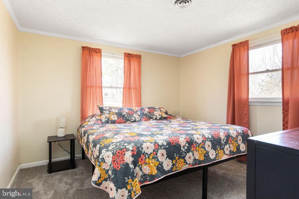 272 Lower View Road Strasburg, VA 22657 - Photo 14 of 34 Main Bedroom #1