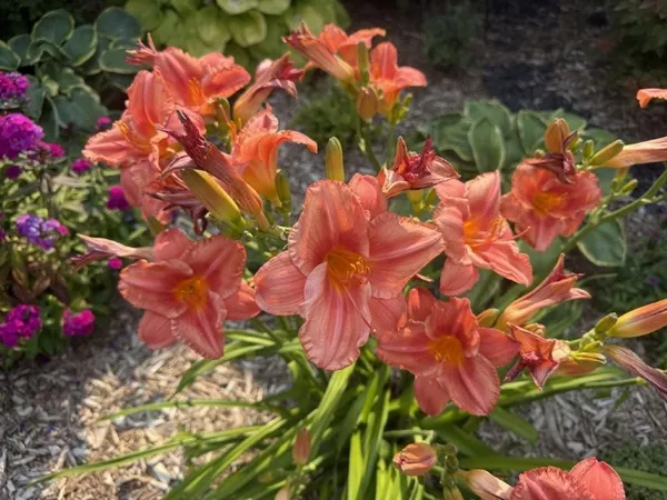 $495,000 | 915 Lake Boulevard Northeast, Bemidji, MN 56601