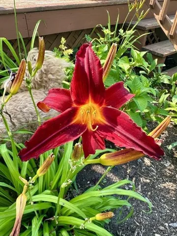 $518,900 | 915 Lake Boulevard Northeast, Bemidji, MN 56601