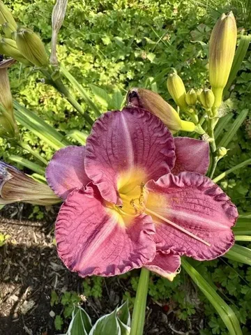 $518,900 | 915 Lake Boulevard Northeast, Bemidji, MN 56601