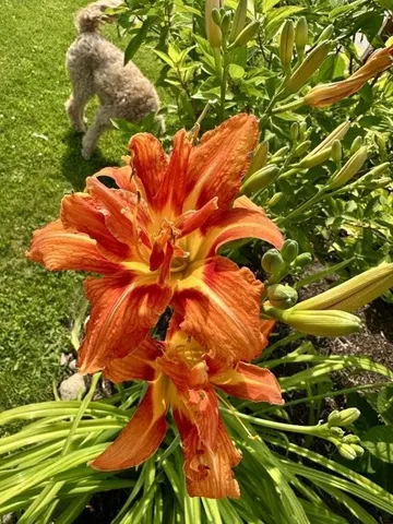 $518,900 | 915 Lake Boulevard Northeast, Bemidji, MN 56601