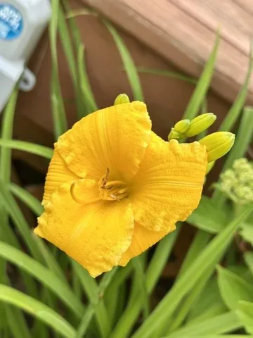 $518,900 | 915 Lake Boulevard Northeast, Bemidji, MN 56601