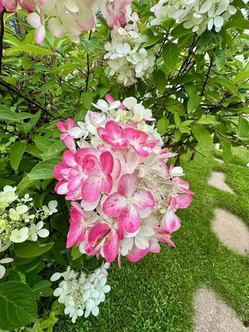 $518,900 | 915 Lake Boulevard Northeast, Bemidji, MN 56601