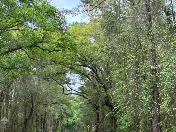 $75,000 | 183 South Ponce De Leon, Ponce de Leon, FL 32455