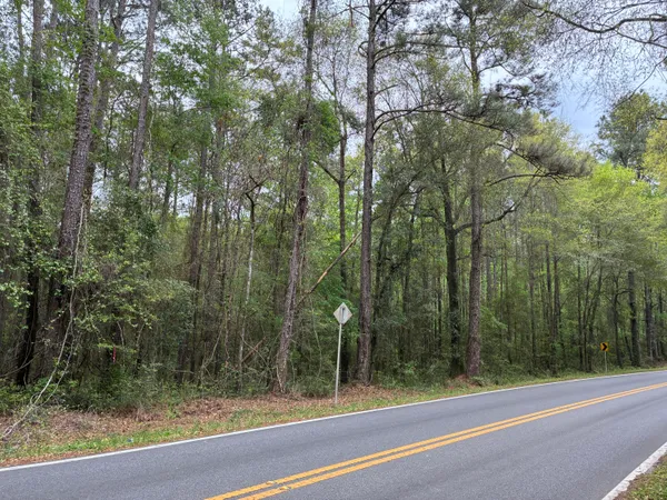 $75,000 | 183 South Ponce De Leon, Ponce de Leon, FL 32455