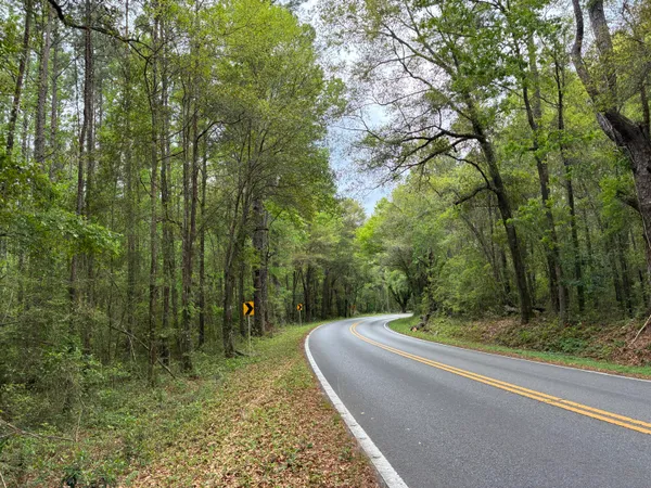 $75,000 | 183 South Ponce De Leon, Ponce de Leon, FL 32455