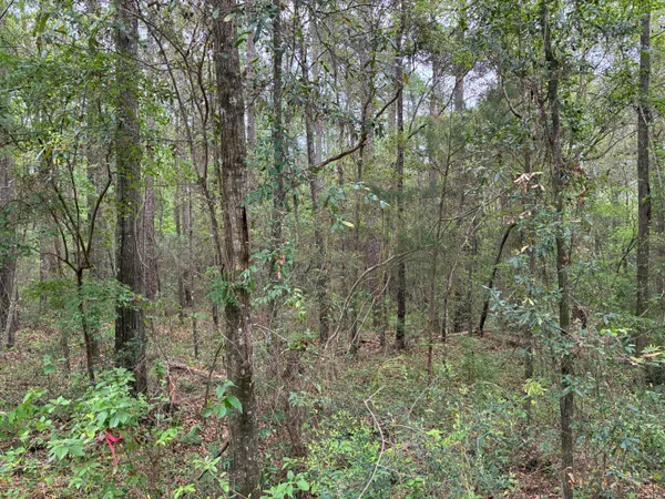 $75,000 | 183 South Ponce De Leon, Ponce de Leon, FL 32455