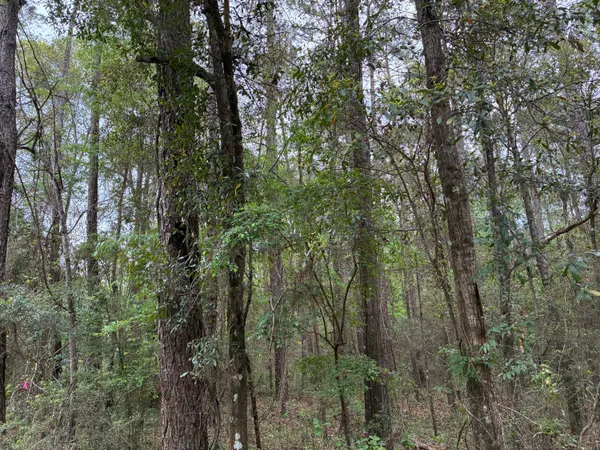 $75,000 | 183 South Ponce De Leon, Ponce de Leon, FL 32455