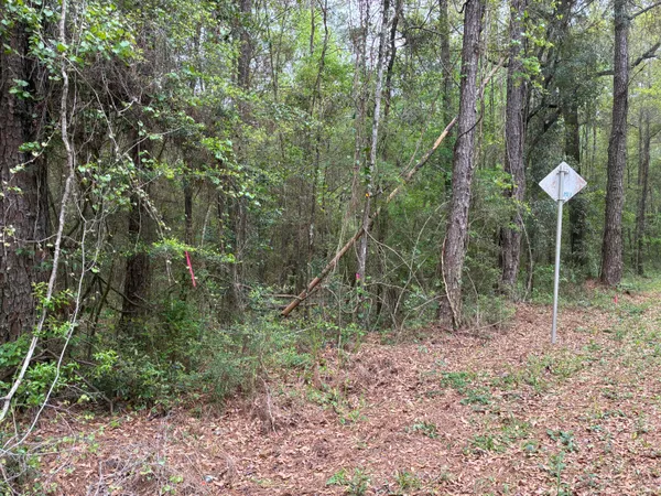 $75,000 | 183 South Ponce De Leon, Ponce de Leon, FL 32455