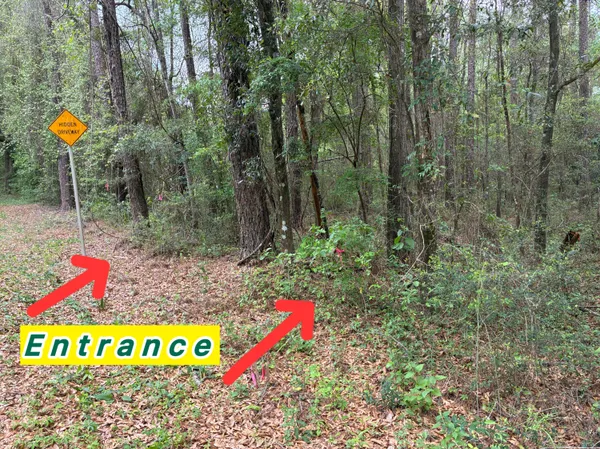 $75,000 | 183 South Ponce De Leon, Ponce de Leon, FL 32455