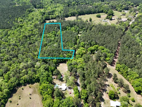 $75,000 | 183 South Ponce De Leon, Ponce de Leon, FL 32455