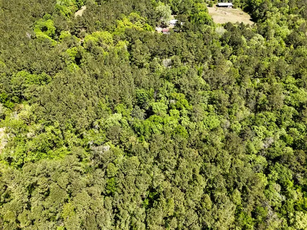 $75,000 | 183 South Ponce De Leon, Ponce de Leon, FL 32455