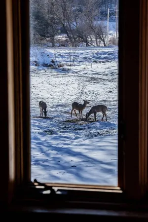 $499,900 | 22450 Kodiak Road, Clifton, WI 54638