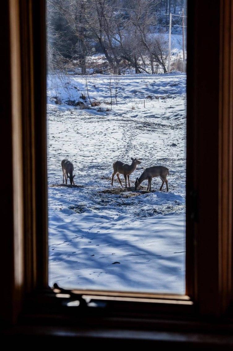 22450 Kodiak Road Clifton, WI 54638 - Photo 59 of 61 original-3DEE5DAF-5D27-4783-949E-A18F592