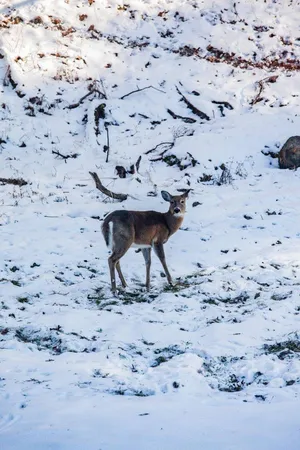 $499,900 | 22450 Kodiak Road, Clifton, WI 54638