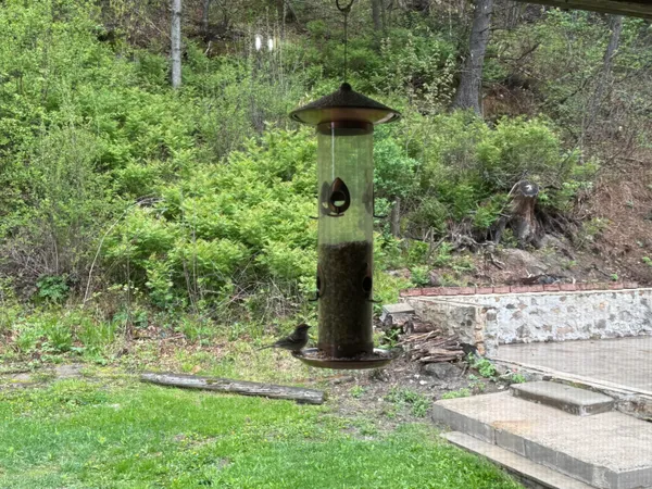 $480,000 | 22450 Kodiak Road, Clifton, WI 54638