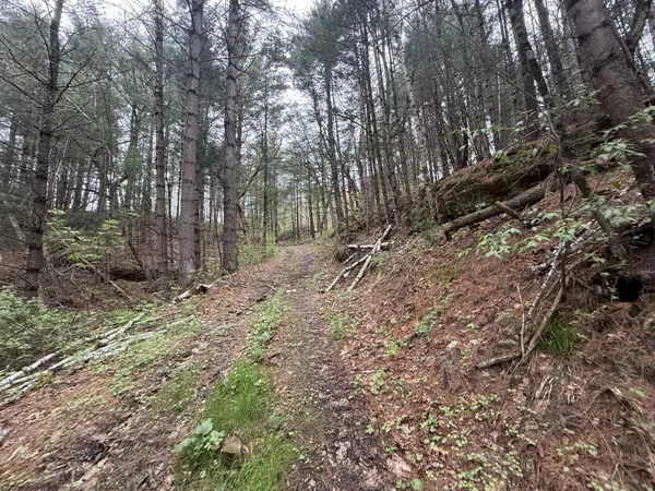 $480,000 | 22450 Kodiak Road, Clifton, WI 54638