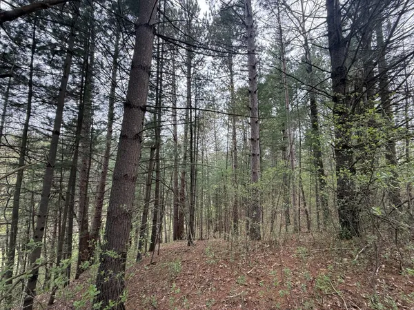 $480,000 | 22450 Kodiak Road, Clifton, WI 54638