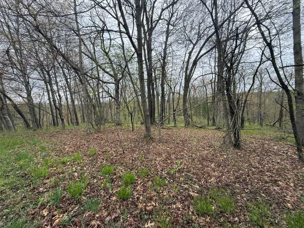 $480,000 | 22450 Kodiak Road, Clifton, WI 54638