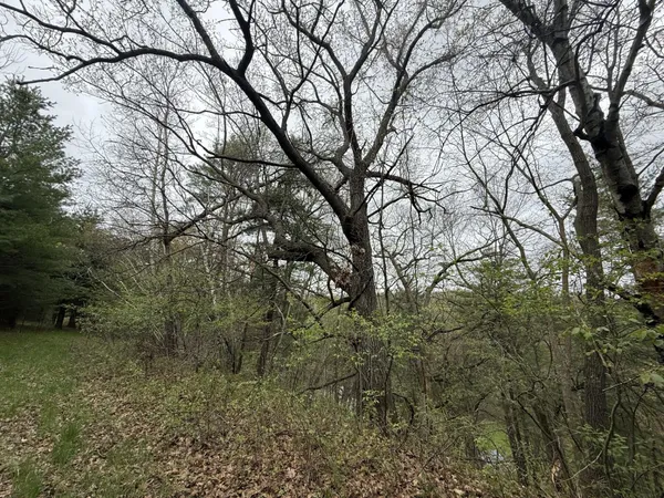 $480,000 | 22450 Kodiak Road, Clifton, WI 54638
