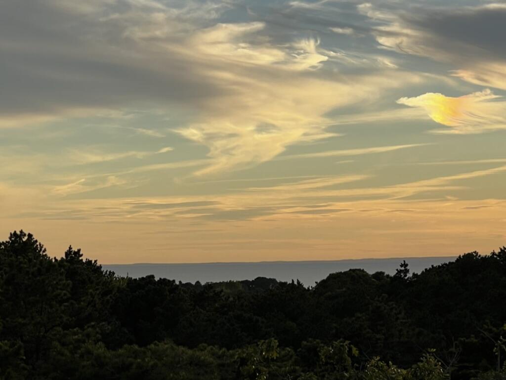 11 Sandy Lane Truro, MA 02666 - Photo 70 of 98 C28FA263-926D-4768-BBAE-88D30D6C8FB3_1_1