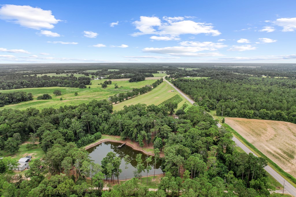 6850 North Co Road Columbia, AL 36319 - Photo 63 of 81