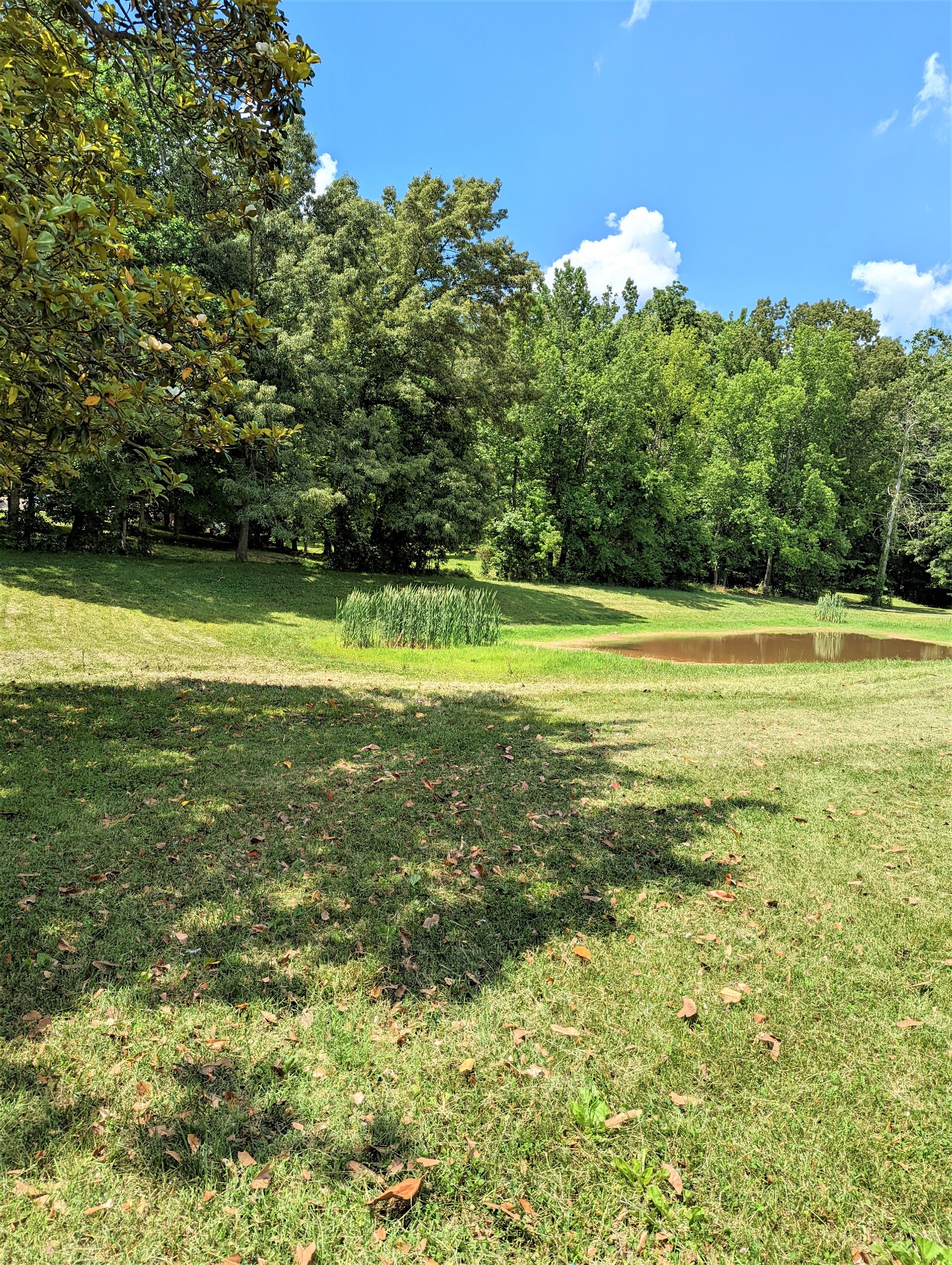 3048 York Road Pleasant View, TN 37146 - Photo 10 of 43