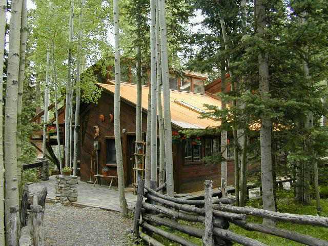 707 Fox Farm Road Telluride, CO 81435 - Photo 1 of 3 Primary Photo