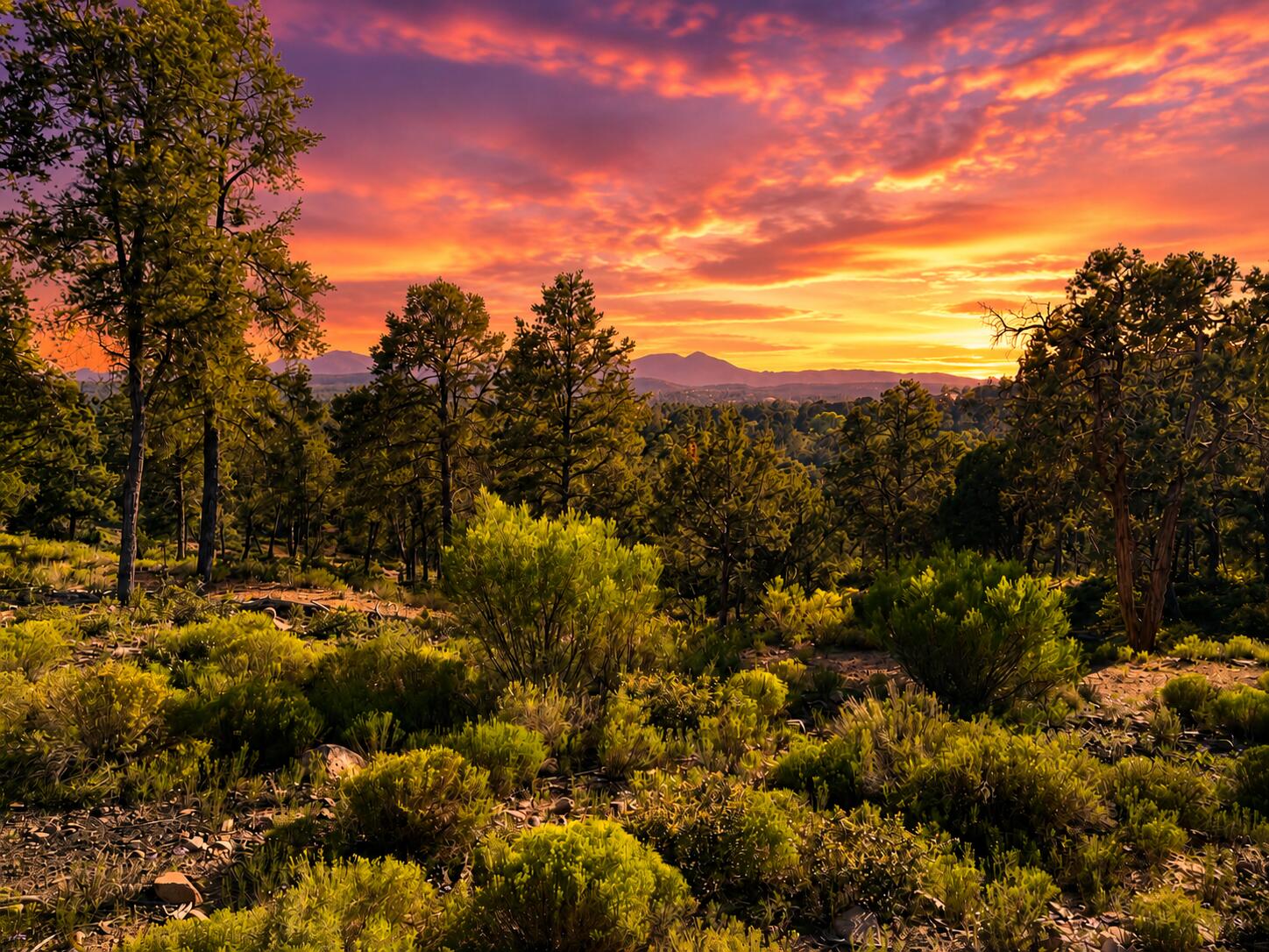 701 North Graham Ranch Road Payson, AZ 85541 - Photo 14 of 18 Gallery Image 14