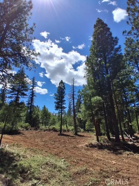 0 Quartz Alturas, CA 96101 - Photo 1 of 1