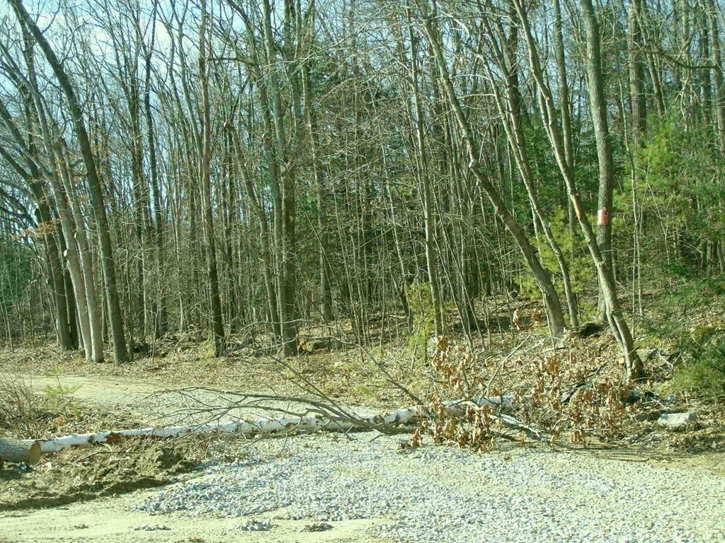 242 Rte 15 Sturbridge, MA 01566 - Photo 4 of 4 a view of outdoor space and a yard