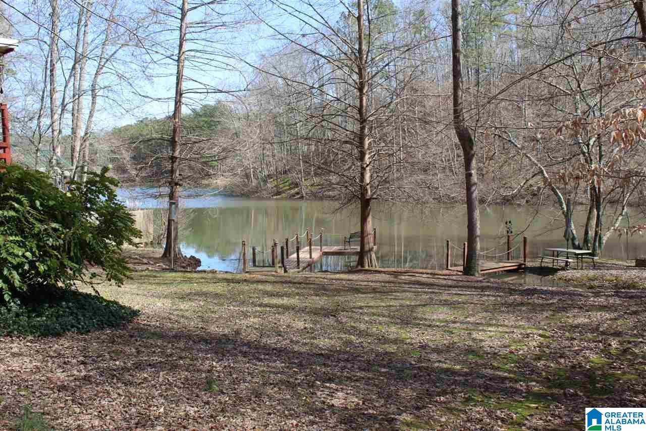 281 County Road 929 Delta, AL 36258 - Photo 16 of 49