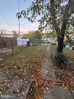 a view of a garden with a tree